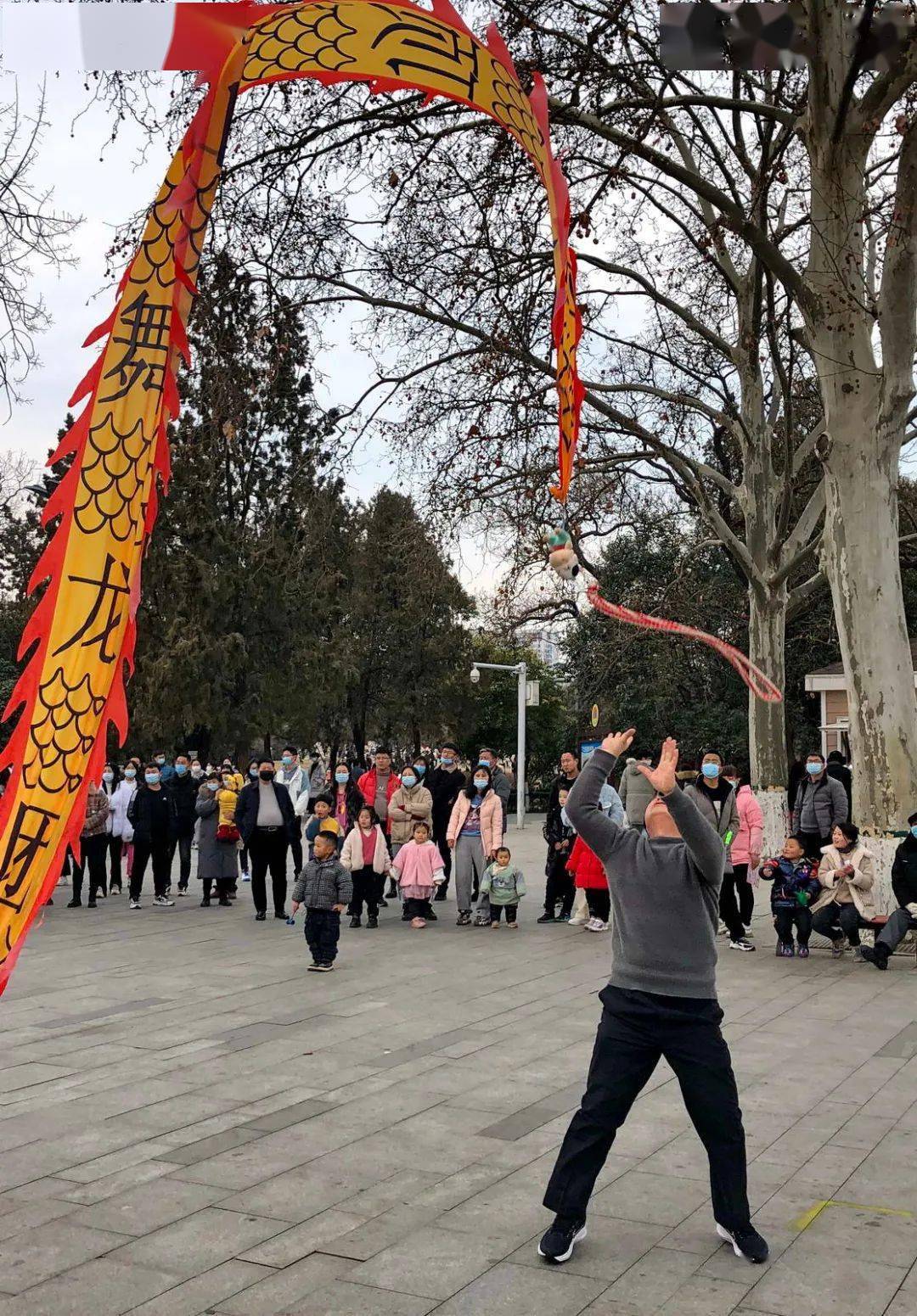 平頂山市老年健身愛好者手舞彩龍歡度春節