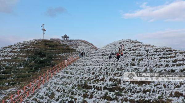 新闻网|广西这个地方现绝美雪景 宛如童话世界