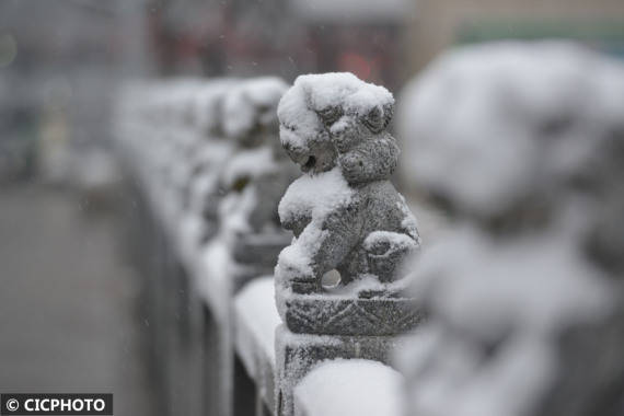 湖州市|新春雪绒绒