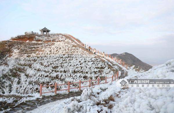 新闻网|广西这个地方现绝美雪景 宛如童话世界