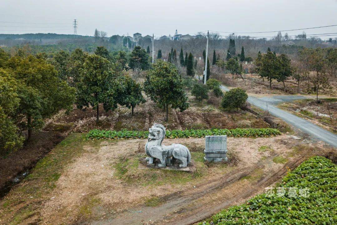 莎萝蔓蛇梁武帝萧衍修陵航拍