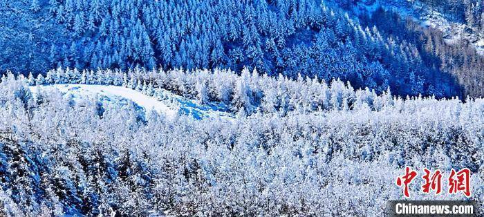 瑞雪|春雪后的六盘山 美若山水画卷