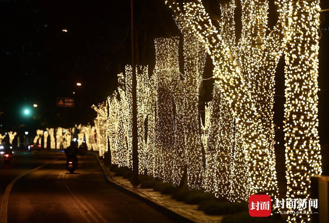 "满天星"照亮回家路_公园北门_望江_雷远东
