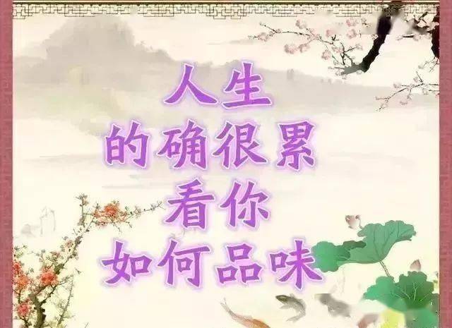 6ad144ea16ee4262a604dd90a239259e.jpeg