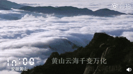 445_248gif 动态图 动图