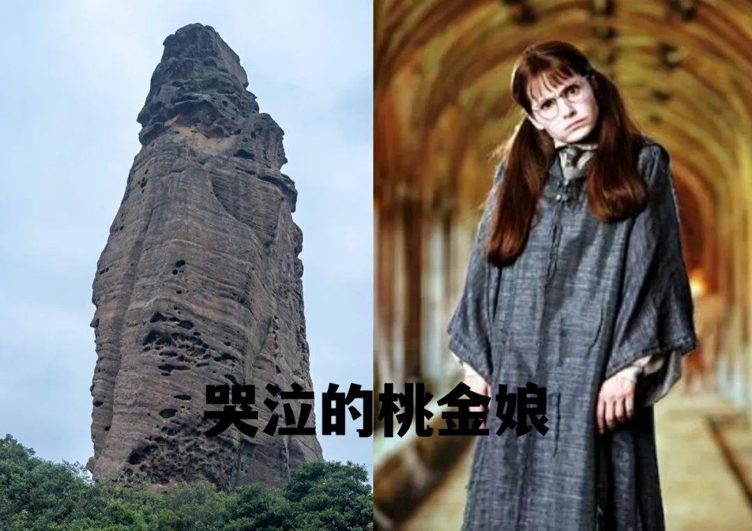 龟峰的,匹诺曹,美杜莎,桃金娘_乌龟_故事_仙女