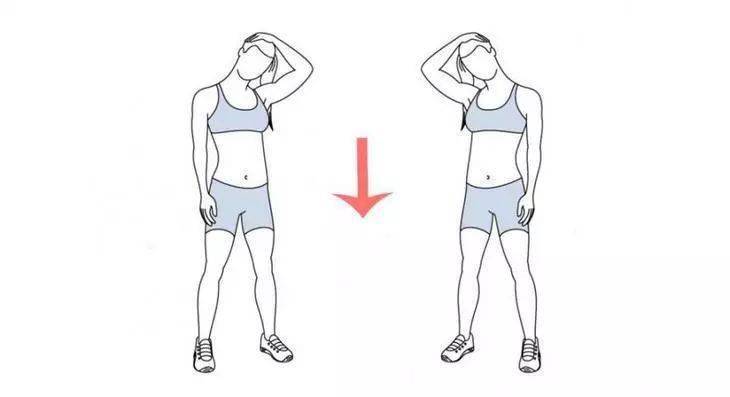 如何正确减肥不伤肾 93c3ec47871d4ecc955edd7aa869b3dc.jpeg