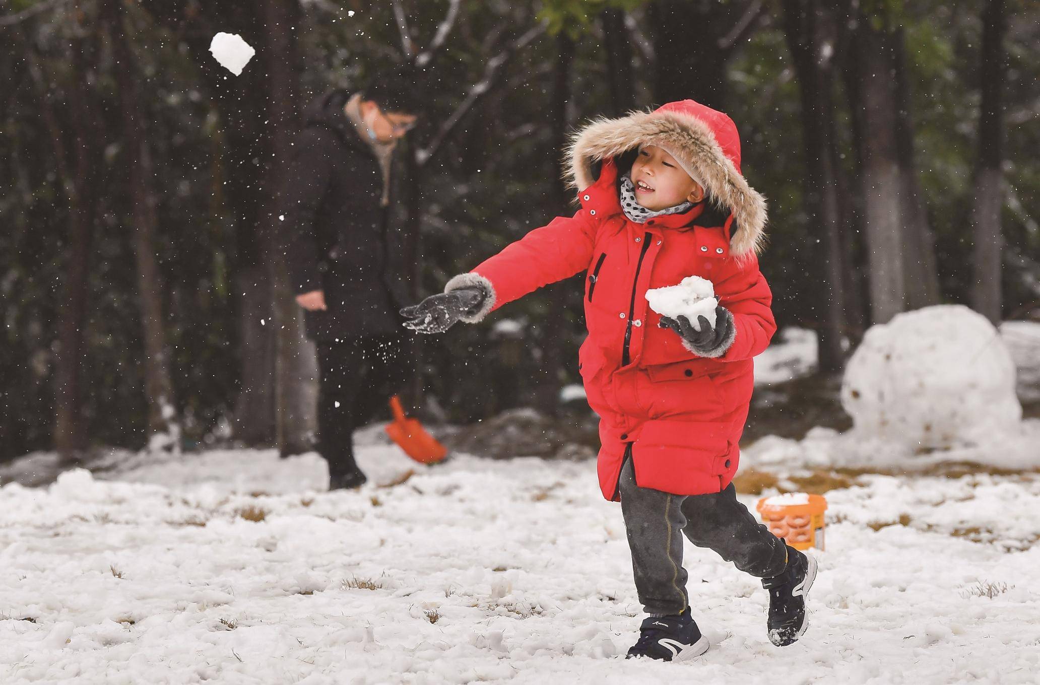 瑞雪|虎年瑞雪送欢乐