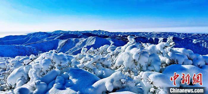 六盘山|春雪后的六盘山 美若山水画卷