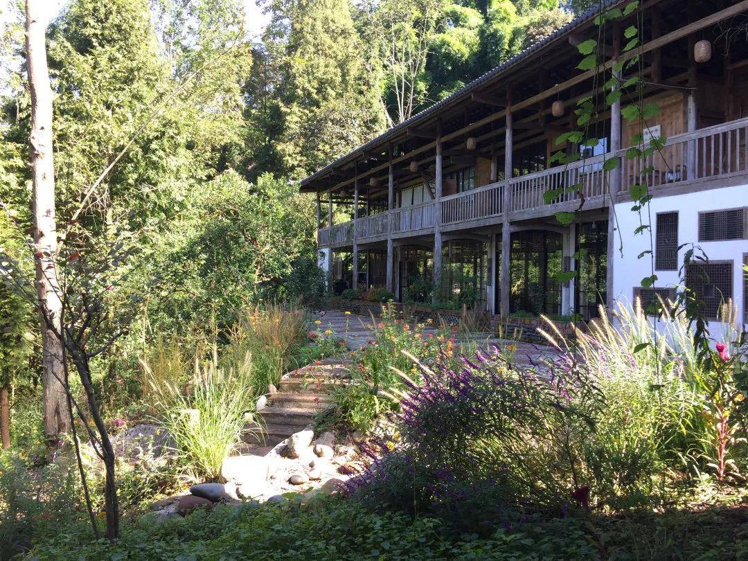 雨城区|雅安市雨城区塘坝村：用文化传承发展 让艺术点亮乡村?