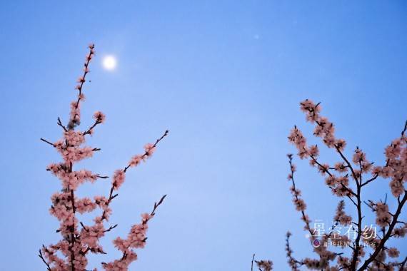 星空有约|一起去看晨曦中最亮的星，约吗？