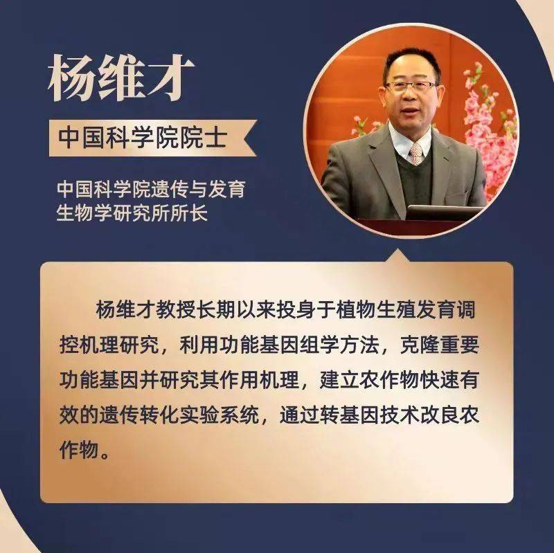 重回母校,中科院院士杨维才寄语巴南学子_实验_重庆市_文化