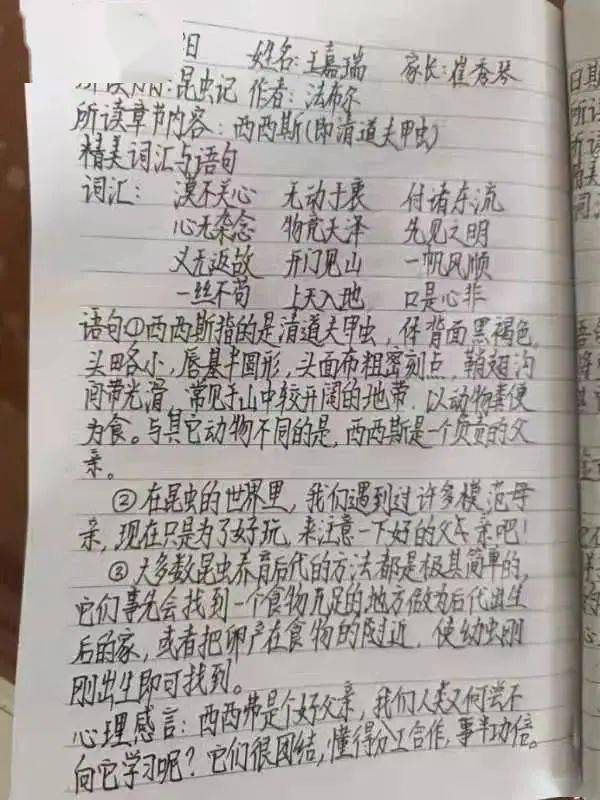 讀書打卡滴第三季天天讀書活動優秀讀書筆記展示來啦五