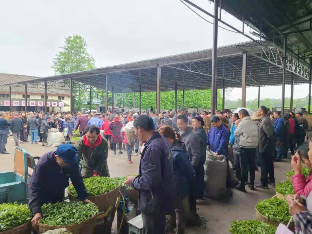 雨城区|雅安市雨城区塘坝村：用文化传承发展 让艺术点亮乡村?