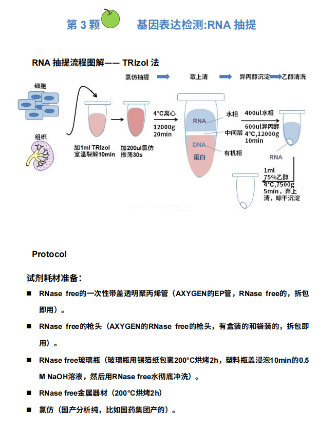 tunel 原理图片