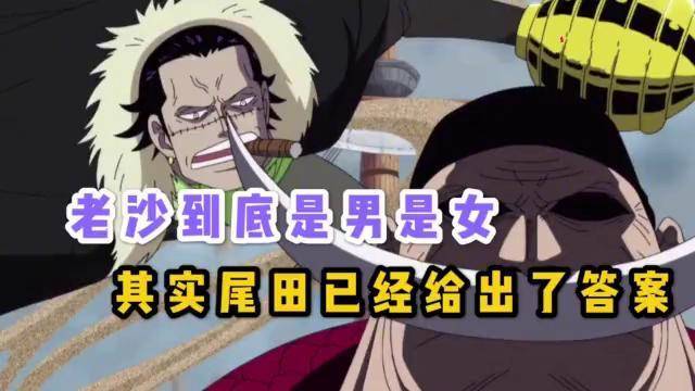 海贼王老沙到底是男是女我们还是的听尾田的