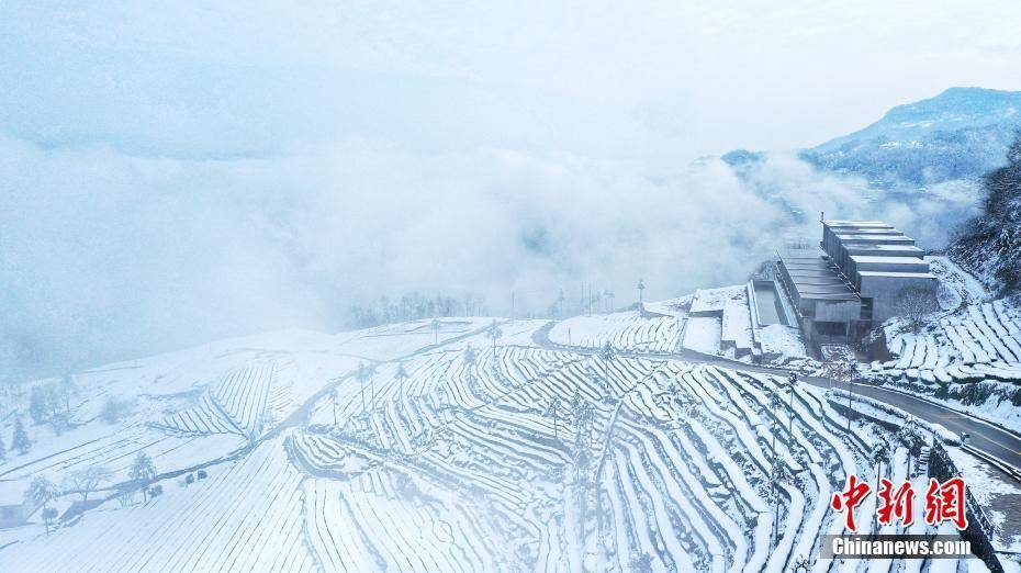 五峰|雪后湖北五峰茶园宛若童话世界