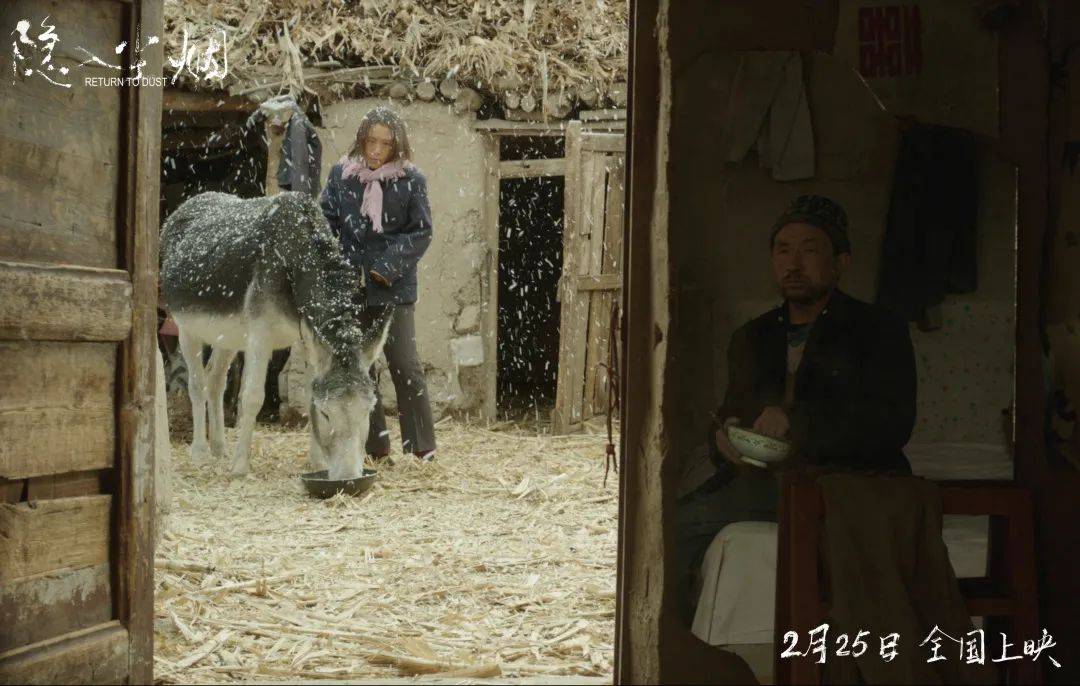 电影节|专访柏林电影节主竞赛入选导演李睿珺:从土地中获得爱情