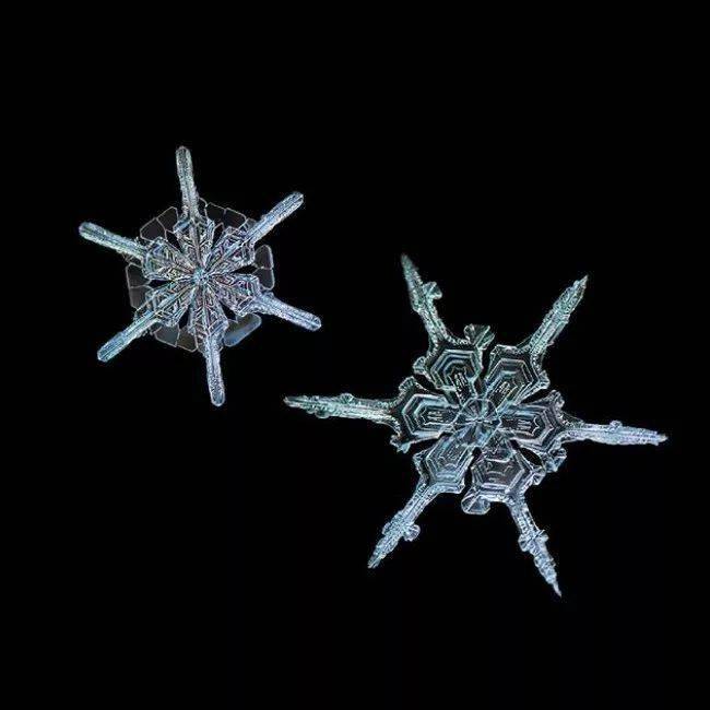 雪花原来这么千姿百态