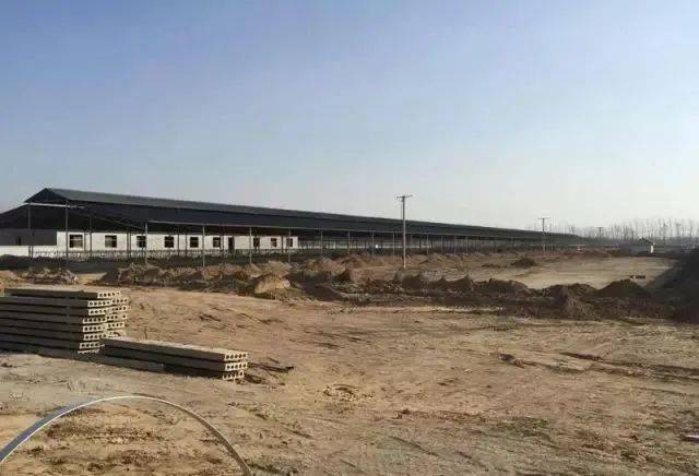 养50头牛标准化牛舍是这样建设的