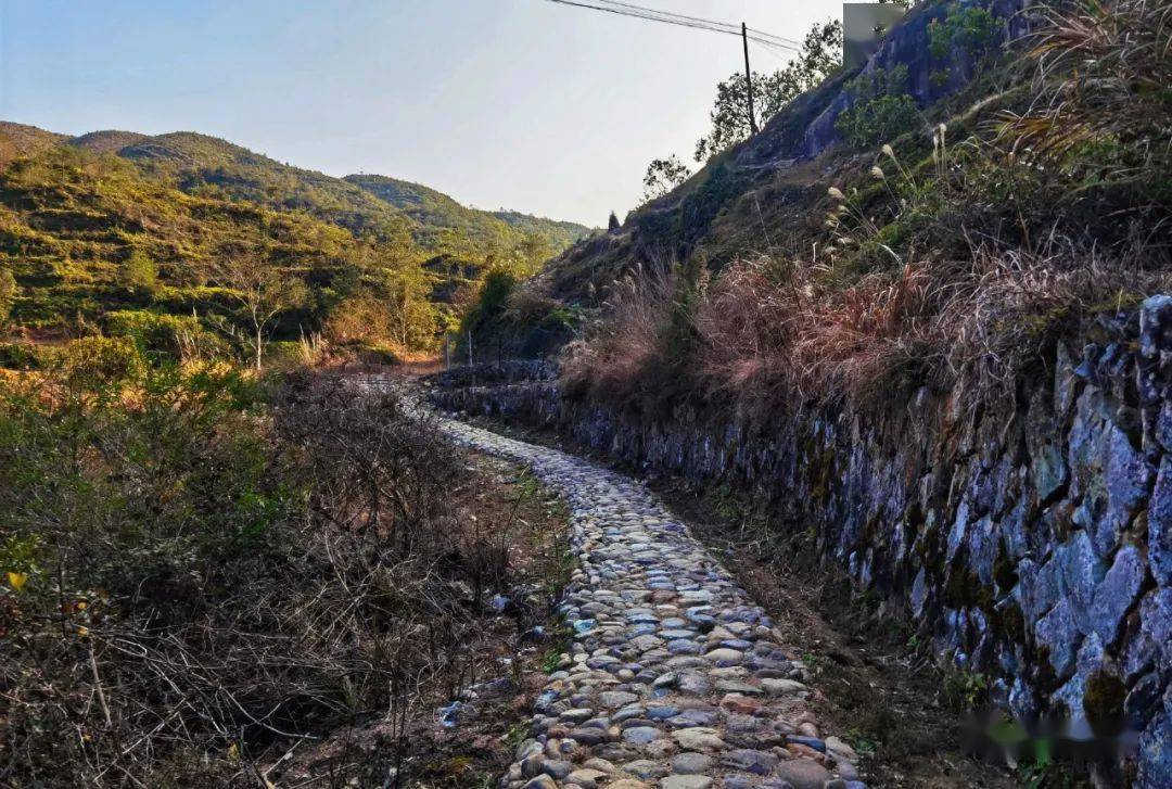 村庄游步道图片