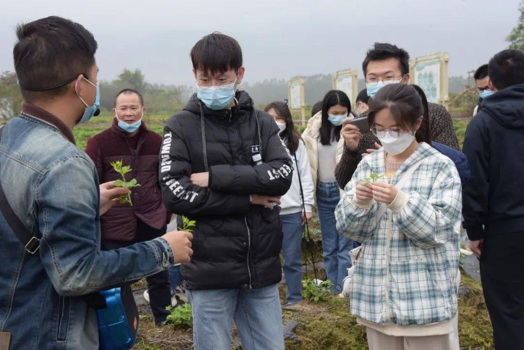 返鄉大學生代表在恩平市簕菜文化創意園參觀返鄉大學生代表實地參觀