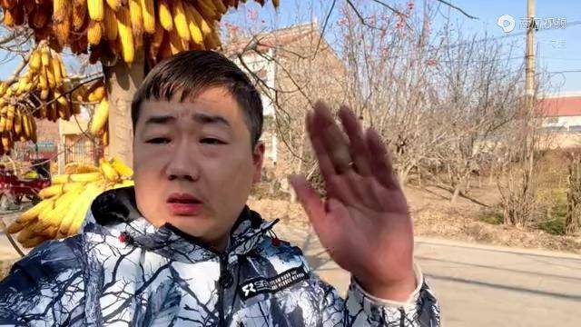 小强决定不走了燕子脸上露出了久违的笑容今天帮阿姨去修三摩车