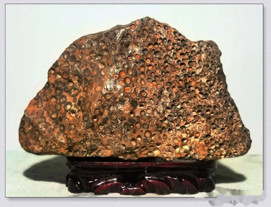 拣石记5金钱石专题