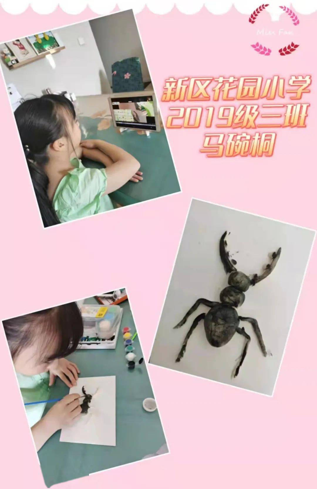 蜘蛛备忘录小学三年级图片