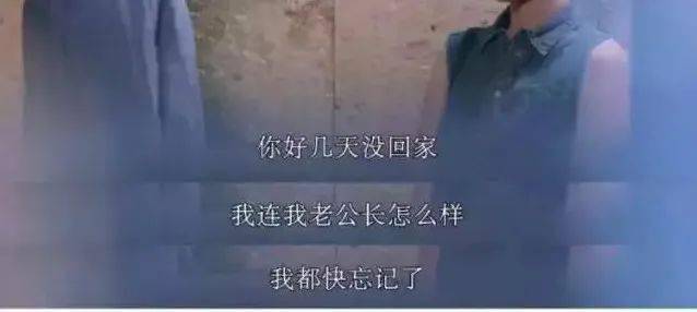 530dd7b903d74351bce4c5bad3af1eb0.jpeg
