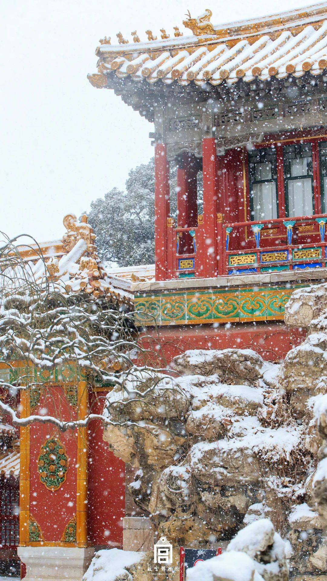 来源|虎年初雪，故宫绝美雪景上新了！当顶流遇上顶流——