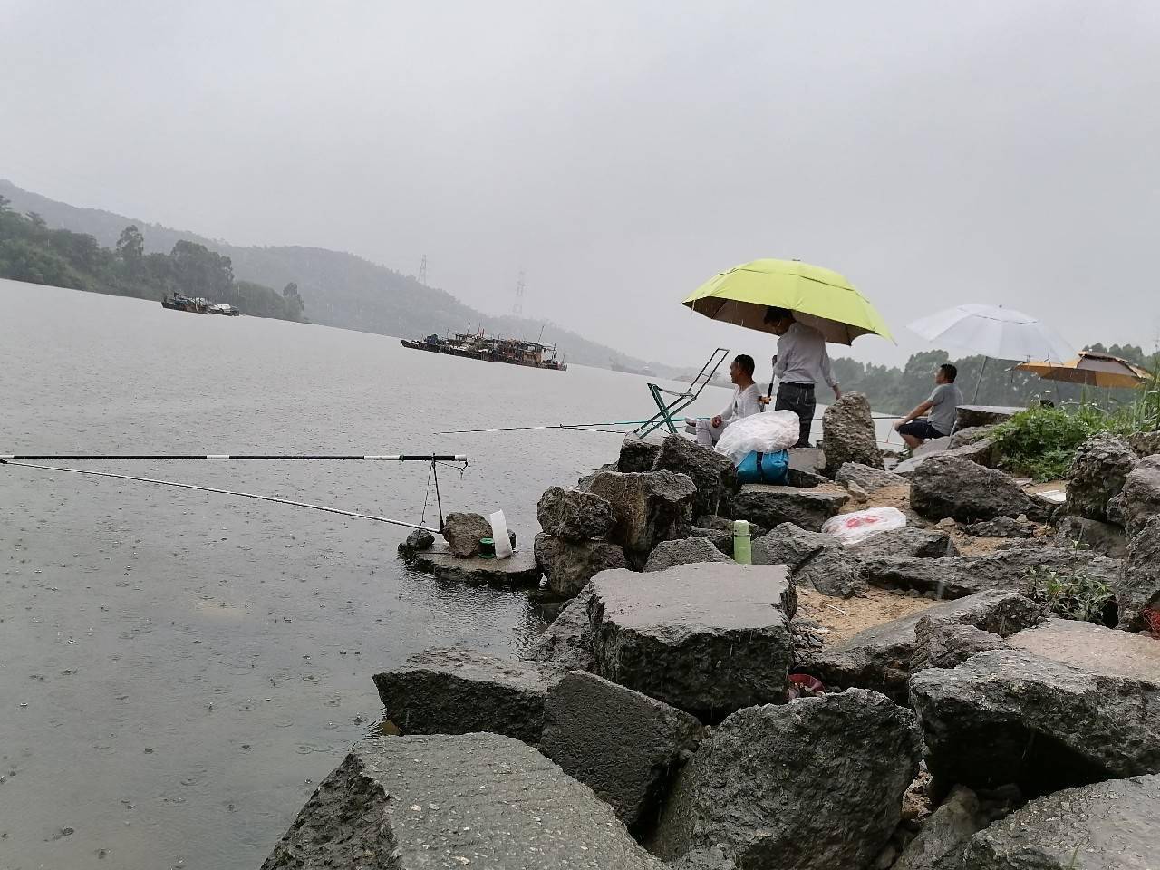 什么样的下雨天适合钓鱼?新手必备_影响_温度_饵料