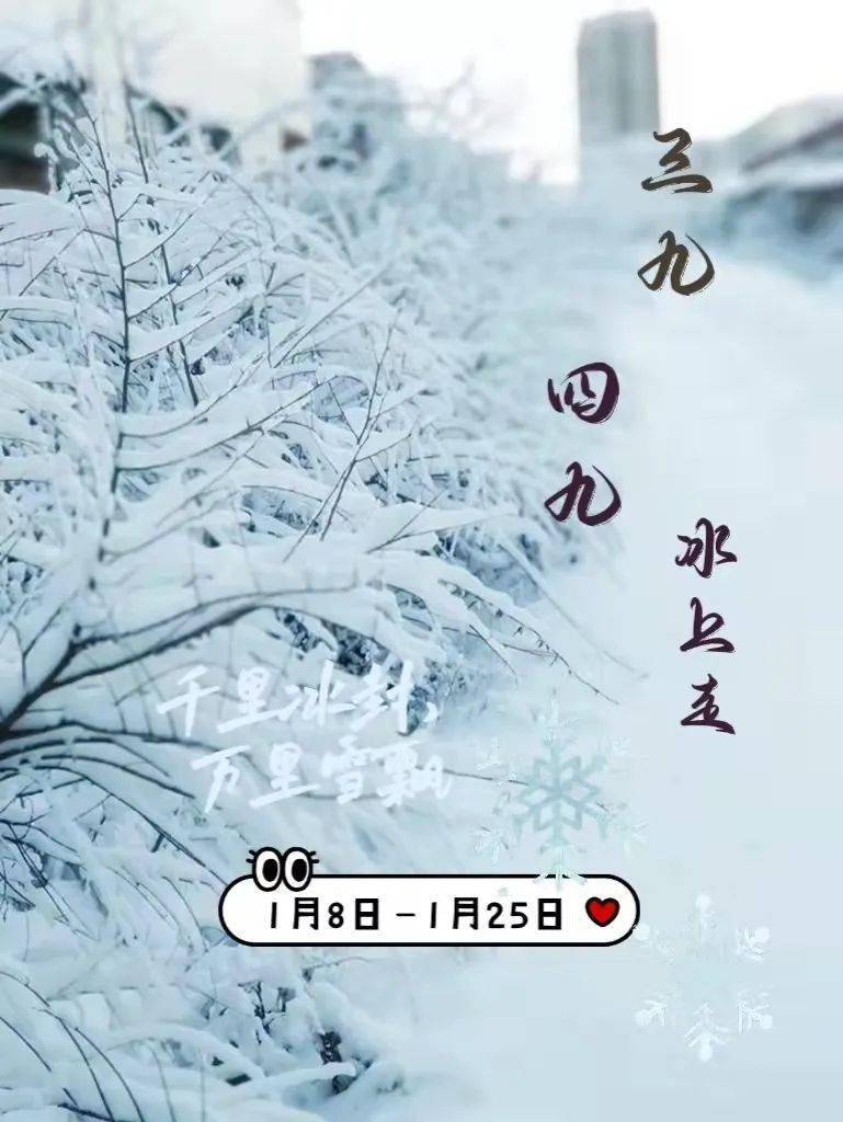 七九河开八九燕来花开的日子要来了