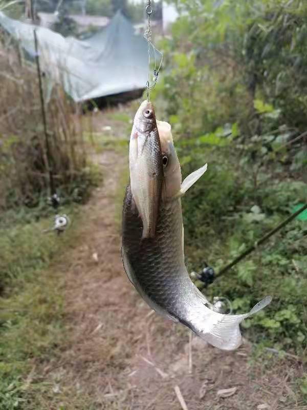 8ea80724cd4a49ab90a2b83b9436bd10.jpeg