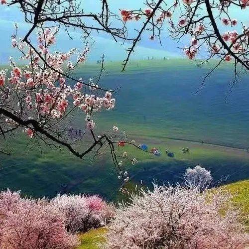 自驾门票【周边自驾门票可预定】_济南_地址_钢城区