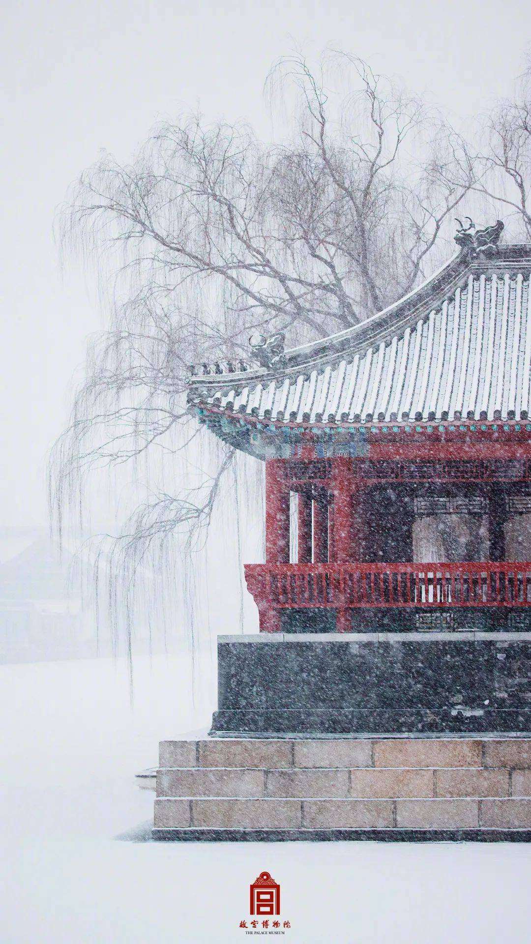 来源|虎年初雪，故宫绝美雪景上新了！当顶流遇上顶流——