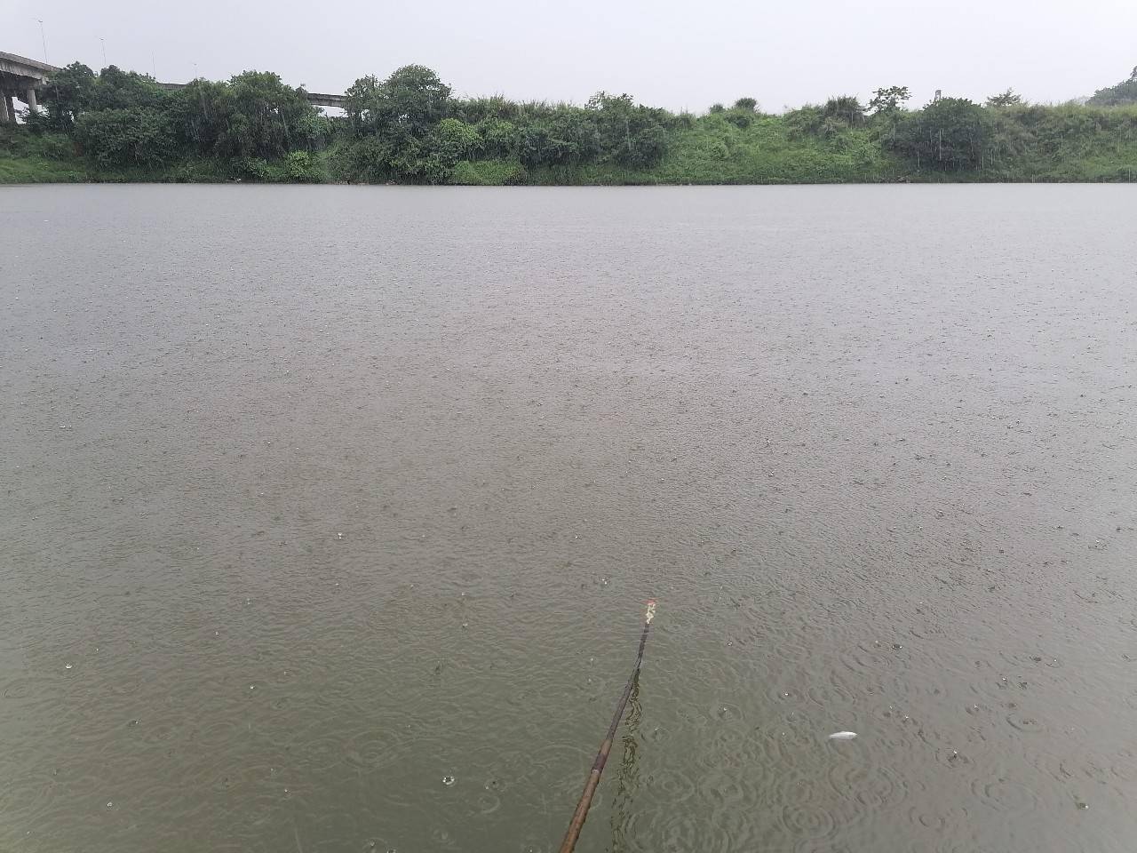 什麼樣的下雨天適合釣魚?新手必備_影響_溫度_餌料