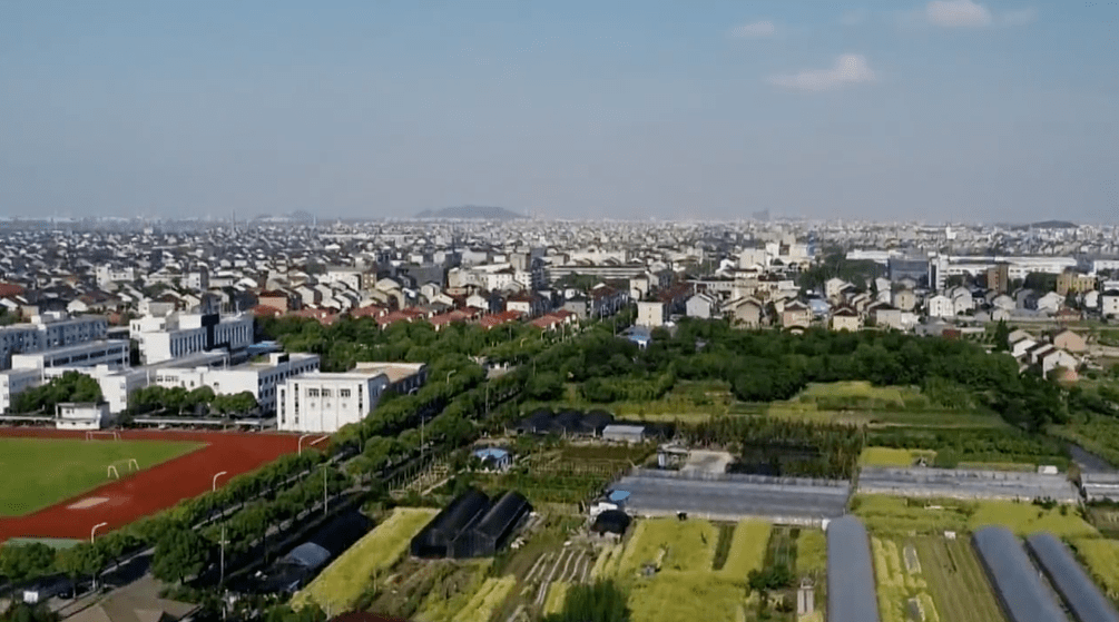 "亩均论英雄"连续三年全市领跑!_企业_低效_逍林镇