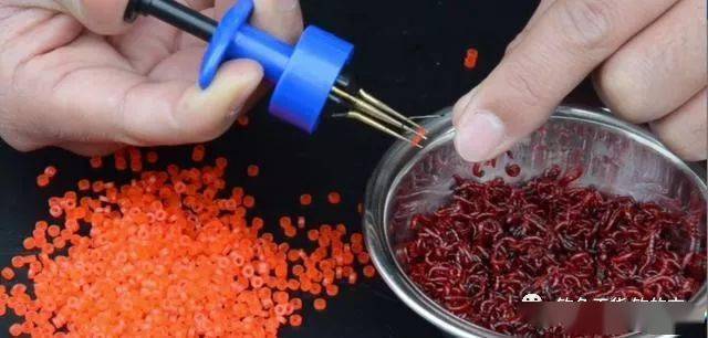 最快捷的红虫挂钩方法,不怕红虫体型小,天气越冷越好用_方式冬_操作