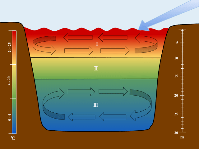 海洋是一个复杂的水体温跃层示意图温跃层(thermocline)是位于海面