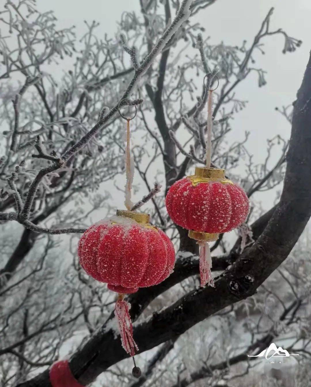 崂山|瑞雪迎元宵，崂山蕴福道