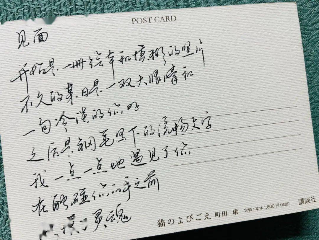 我只在乎你日语完整版 我只在乎你日语白话版