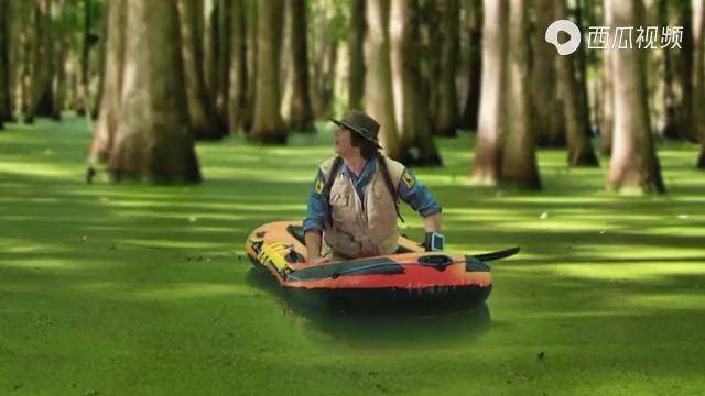 安迪的水上冒险太棒啦小鸟宝宝从高处一跃而下好勇敢