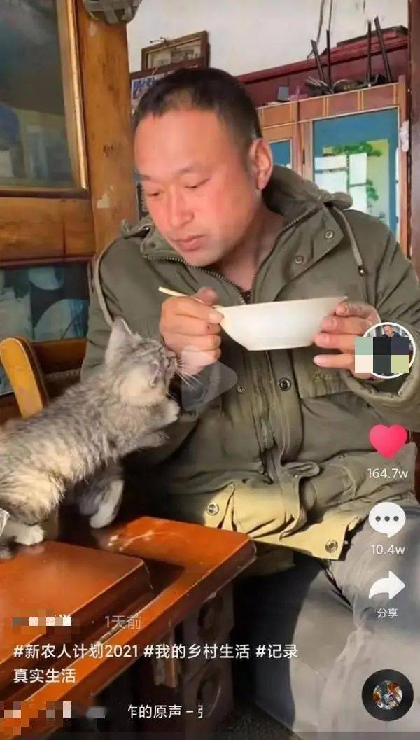 对于浙江人不回老家就像不婚不育