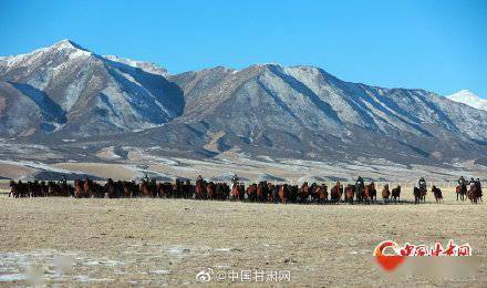 霍去病|甘肃山丹马场：祁连山下万马奔腾