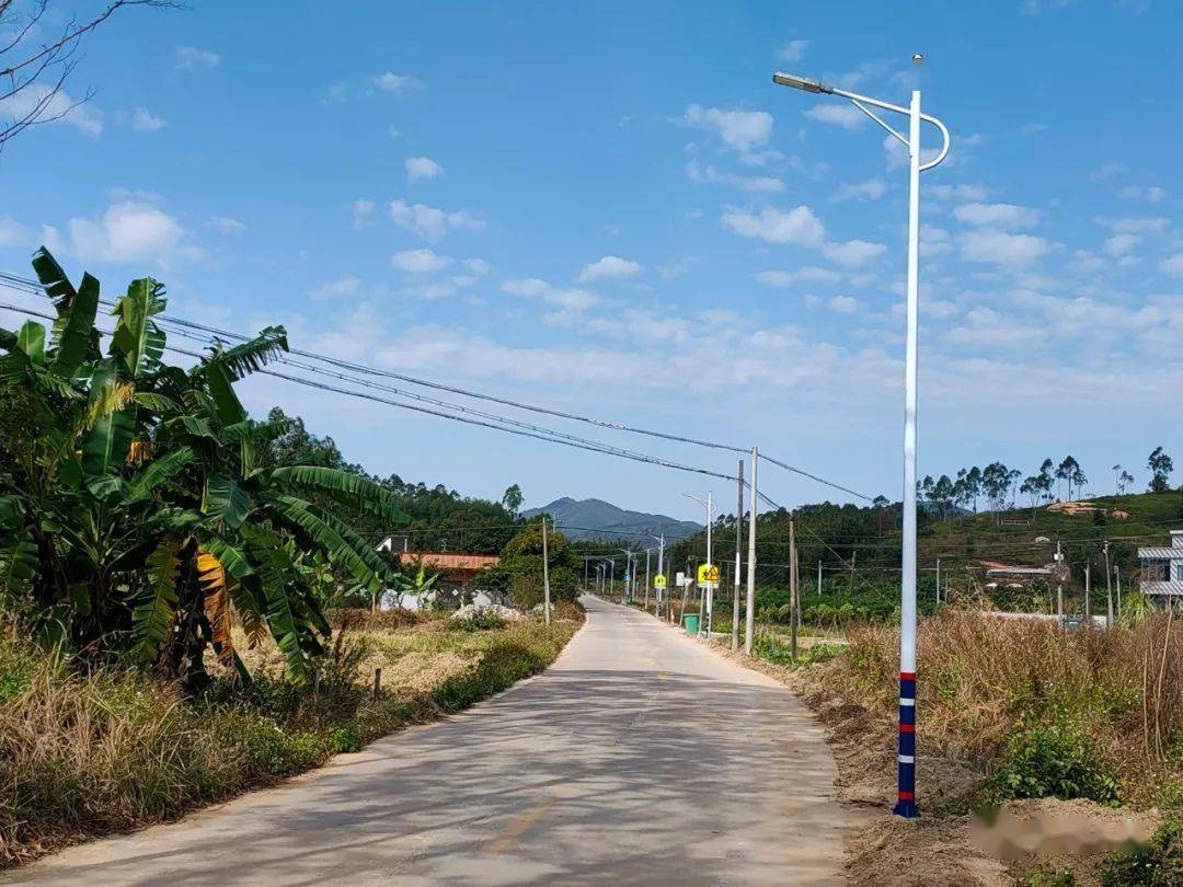 【为民履职办实事】 200盏路灯照亮乡村振兴的信心_溪村_村民_谢先强