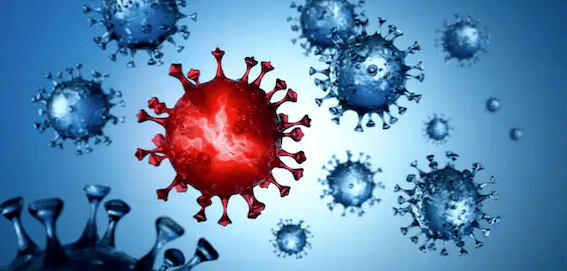 新冠病毒在德国的毒性真的越来越弱