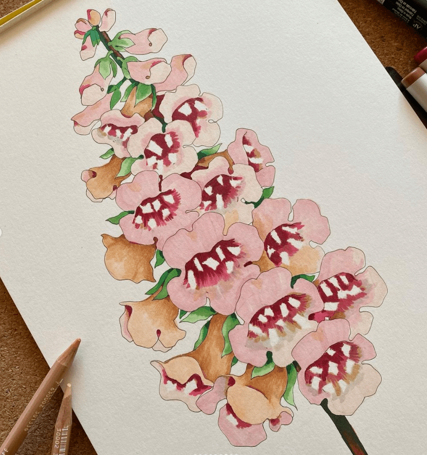 高水准水彩线描,绝对是临摹的好素材