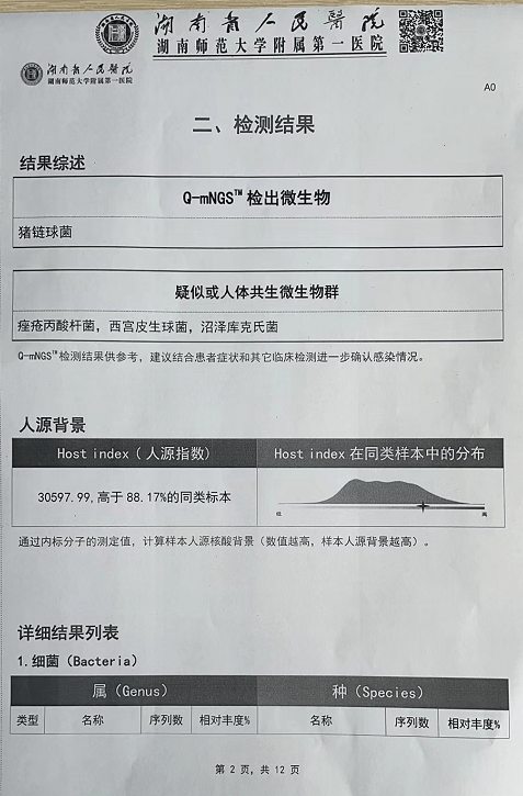 微生物检验报告单图片