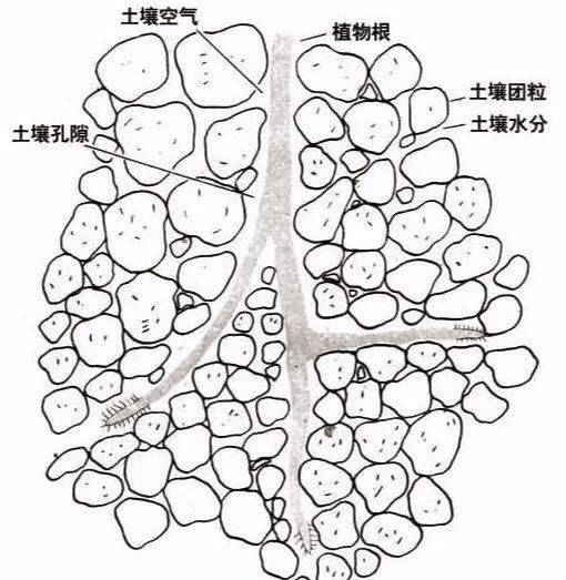 土壤里面学问大搞不清楚瞎种地